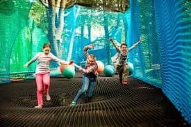 Visit The Treetop Nets - Ripon Image 1