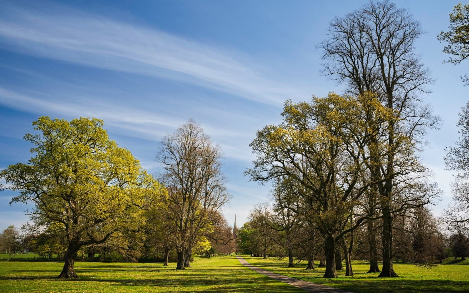 Middleton on the wolds