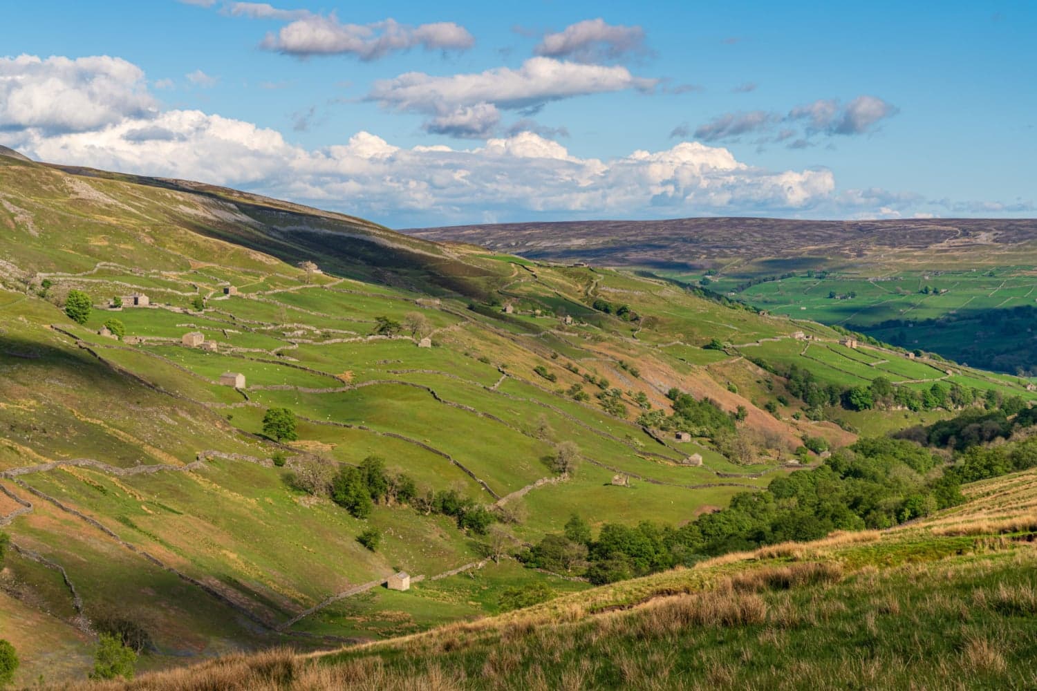 Swaledale