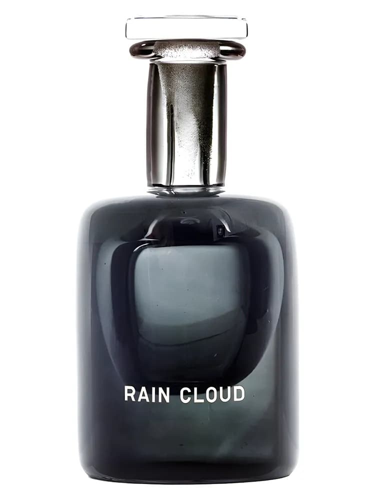 Rain Cloud unisex
