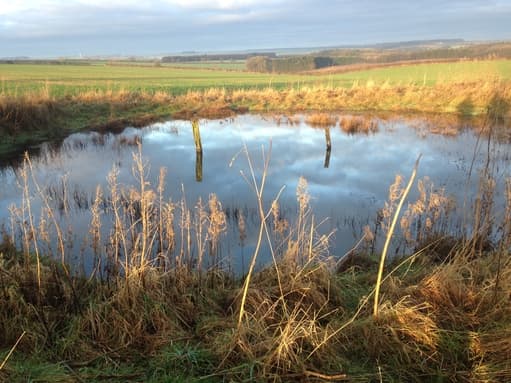 Yorkshire Wolds Dew Pond Wander: a journey through time