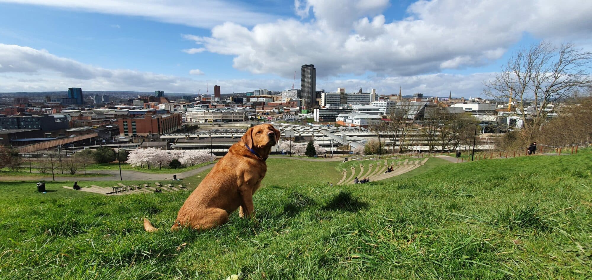 Norfolk Heritage Park, Sheffield