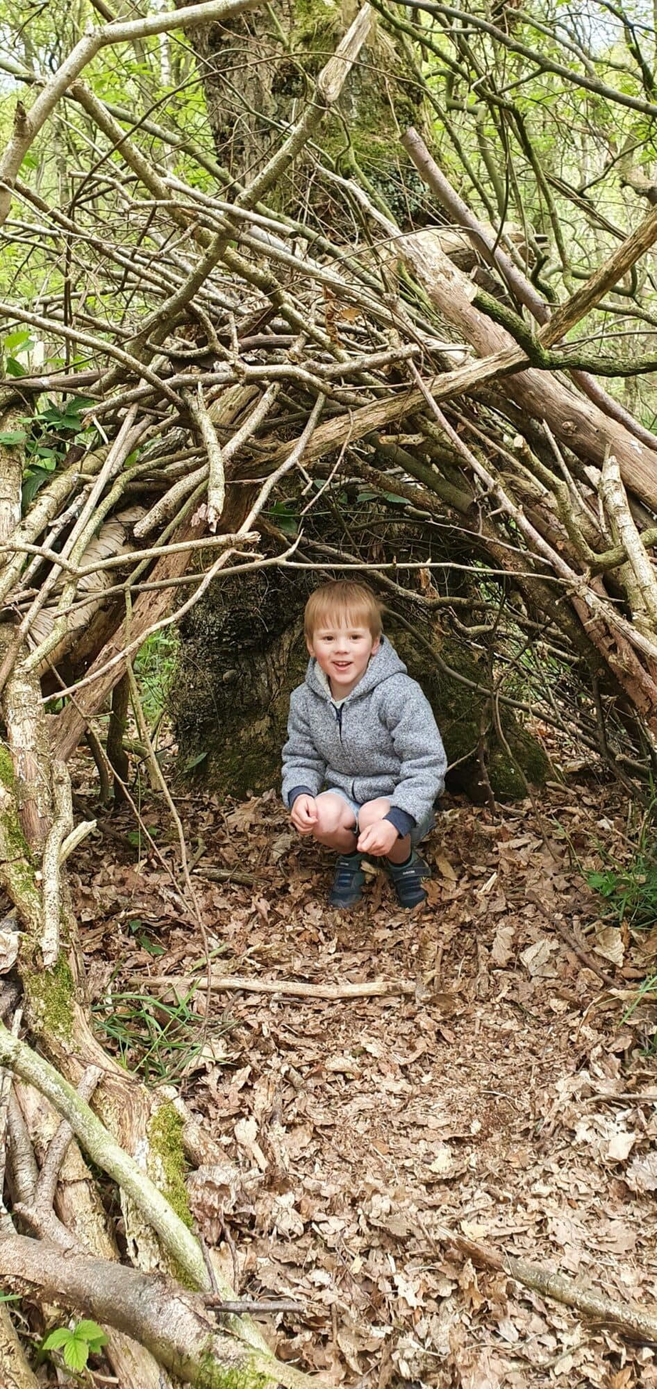 Family Woodland Walk at Coxley Woods
