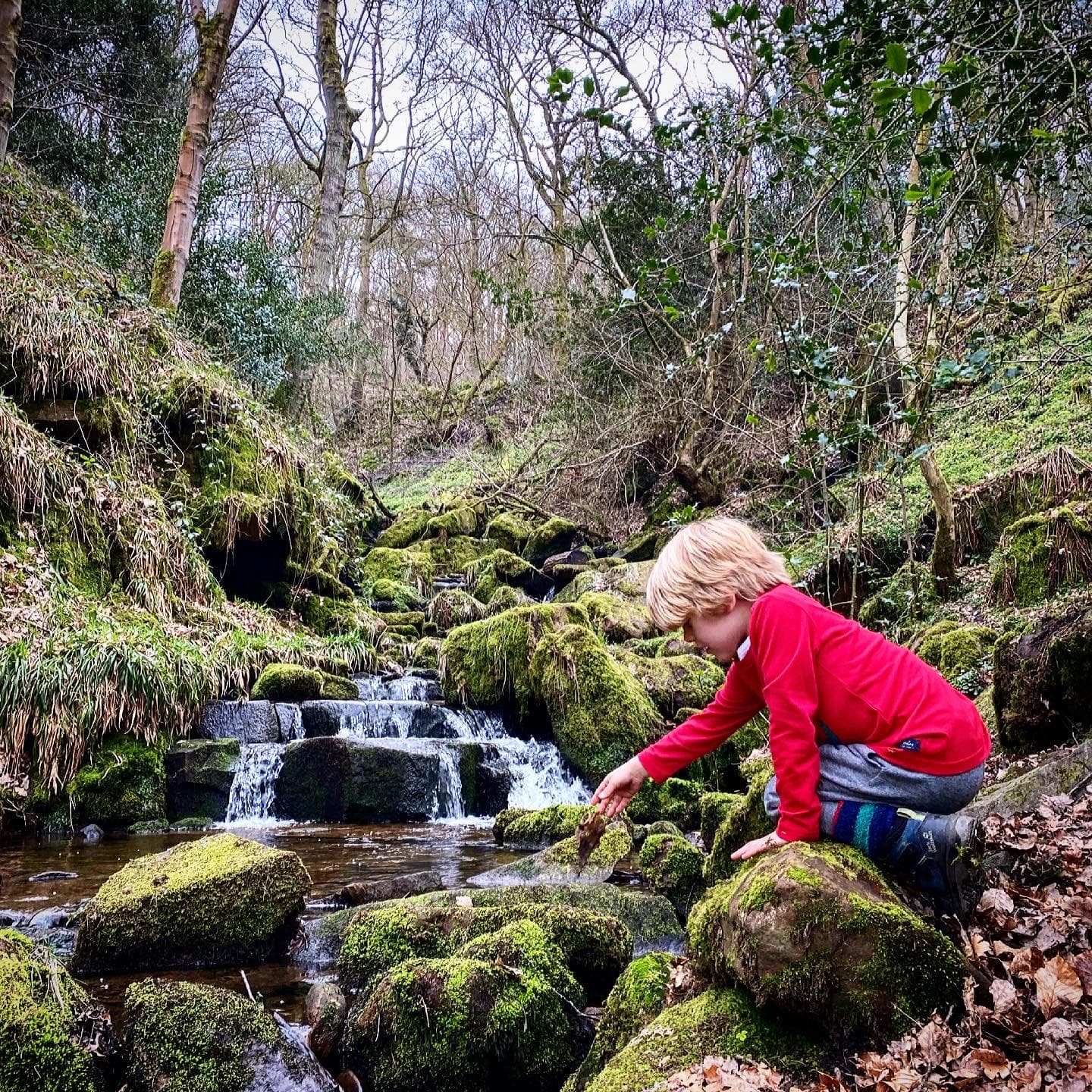 Heber's Ghyll, Ilkley