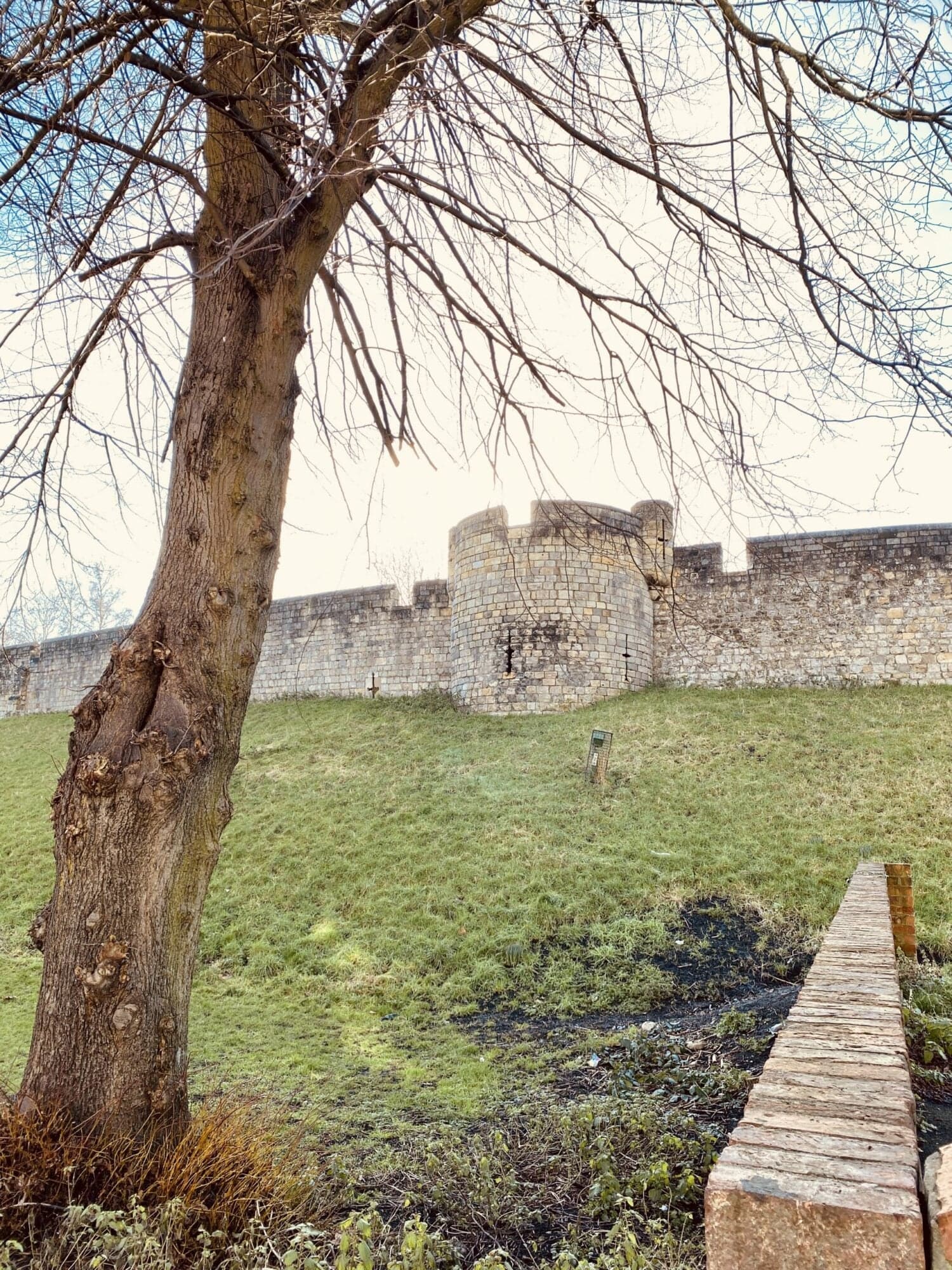 Walking around the York City Walls with Kids