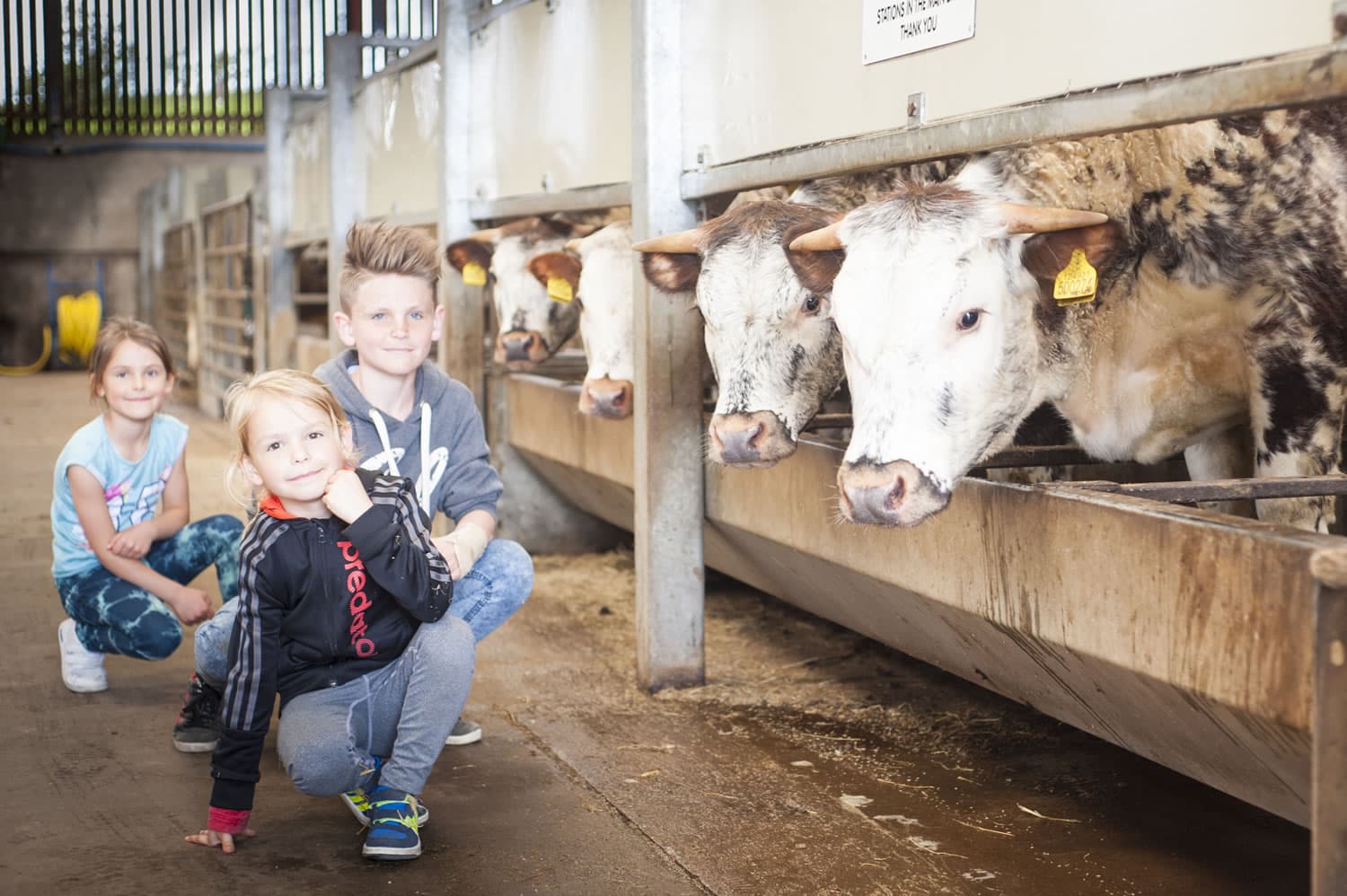 Things to do this half term in Yorkshire