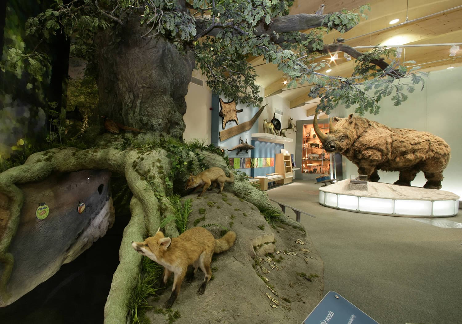 Sheffield Museums Exhibitions July 2024