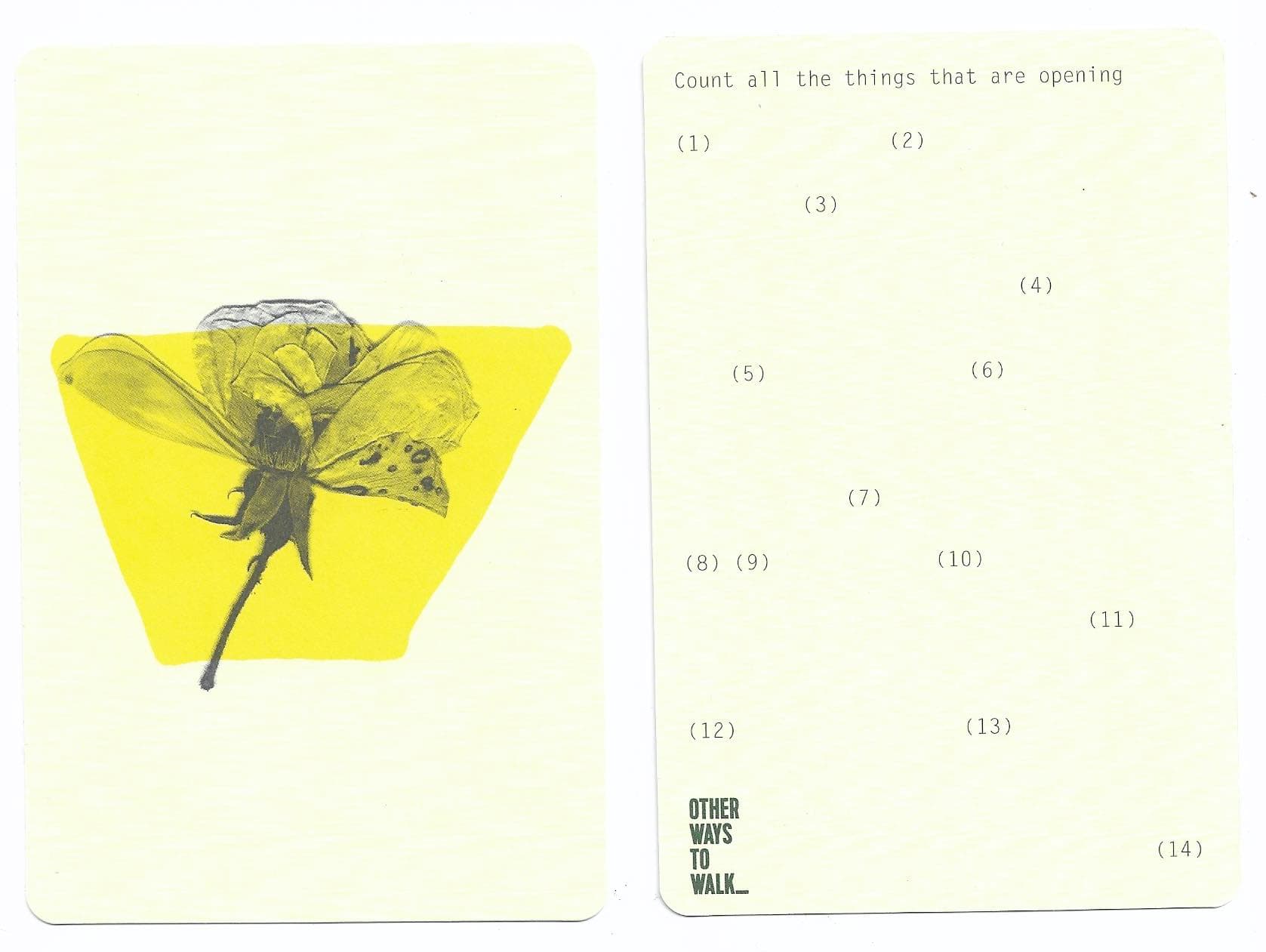 Boost your wellbeing with a 'noticing walk'