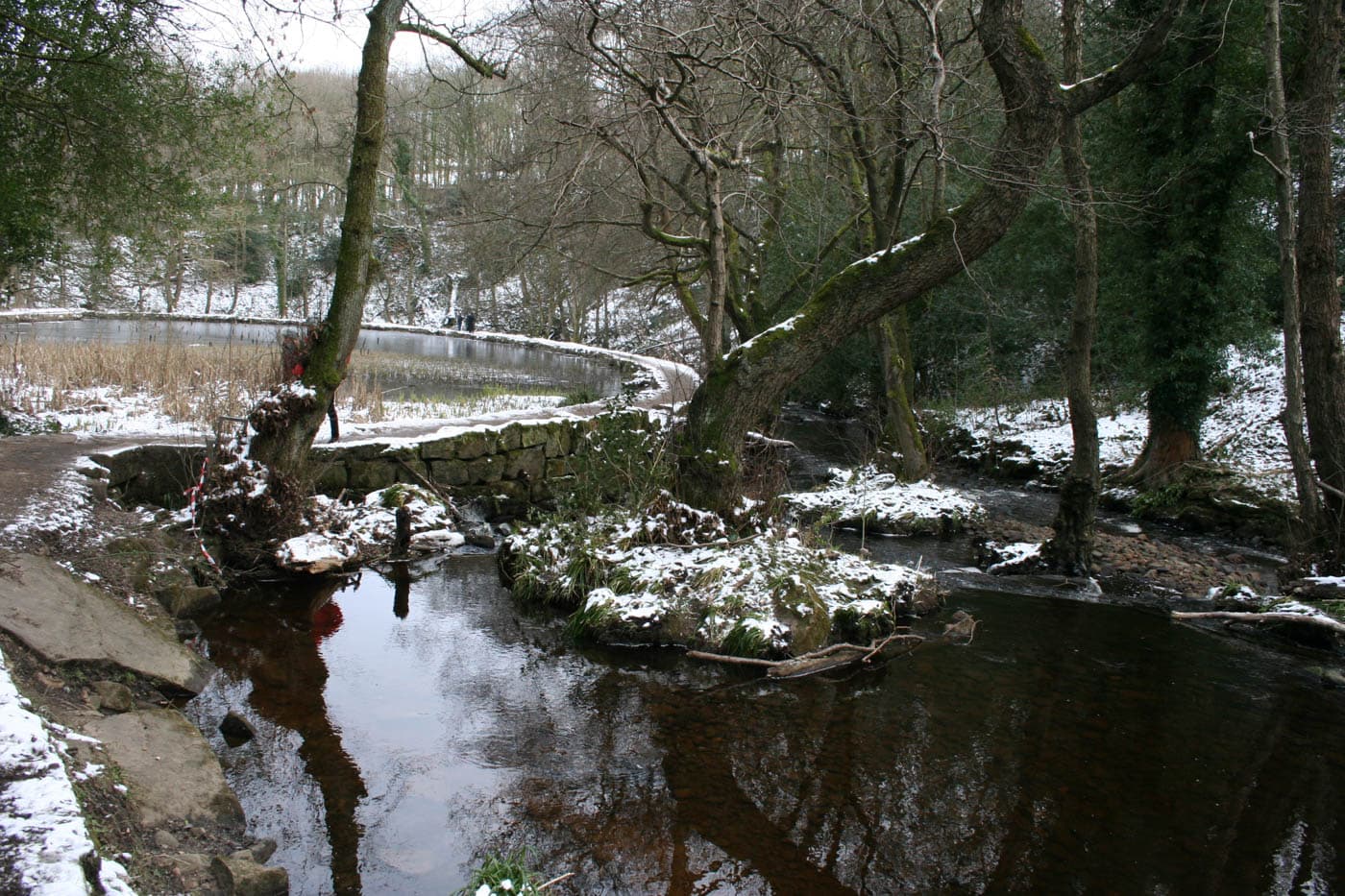 Rambling the Rivelin