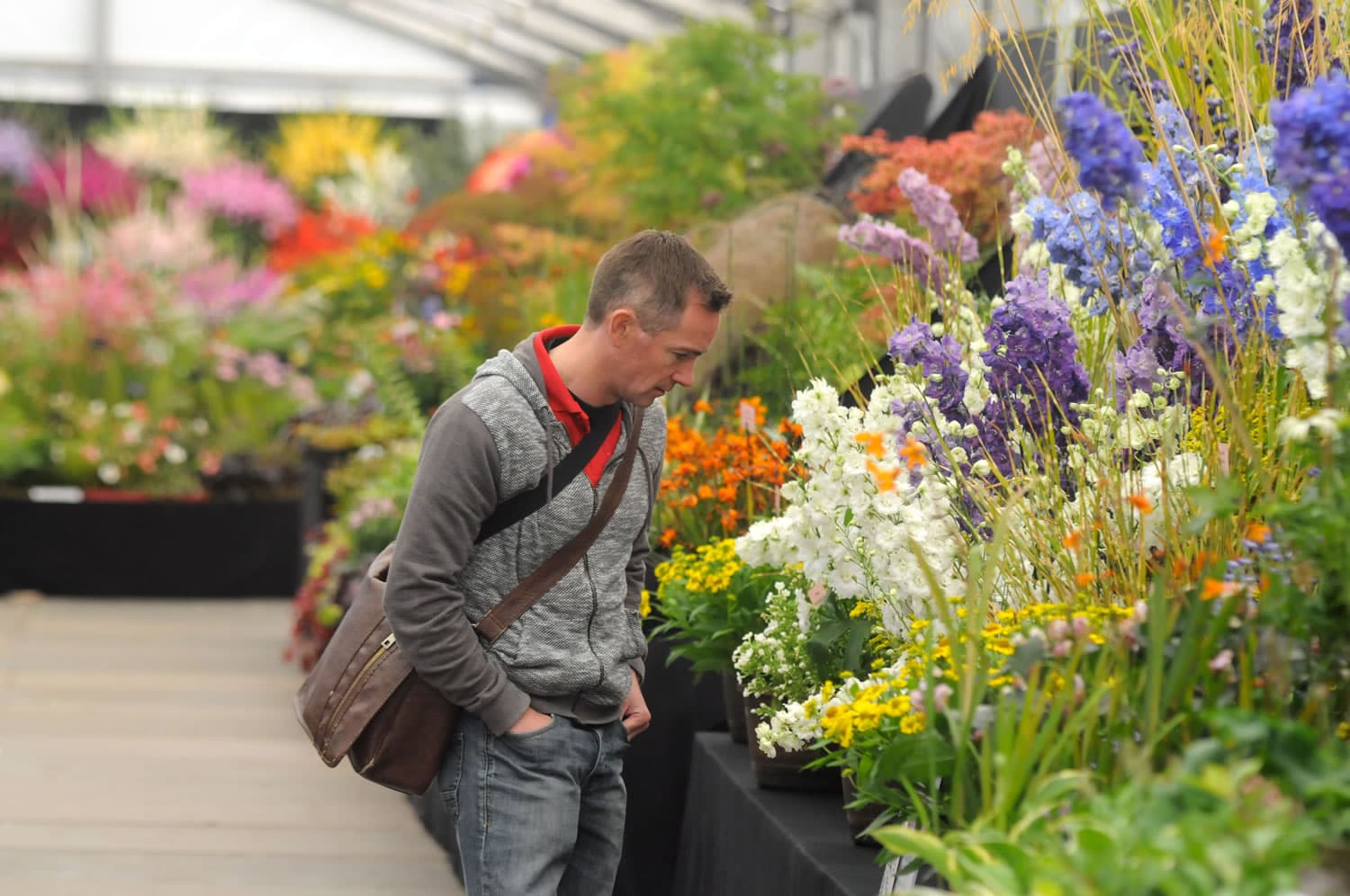 Autumn is the time to plan the perfect garden!