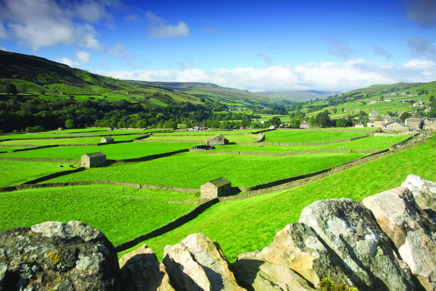 Walk the James Herriot Way