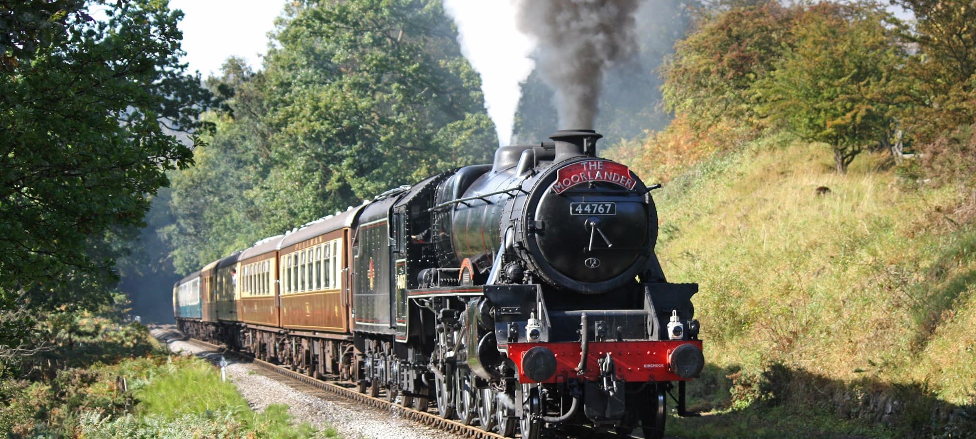 All aboard the gin train