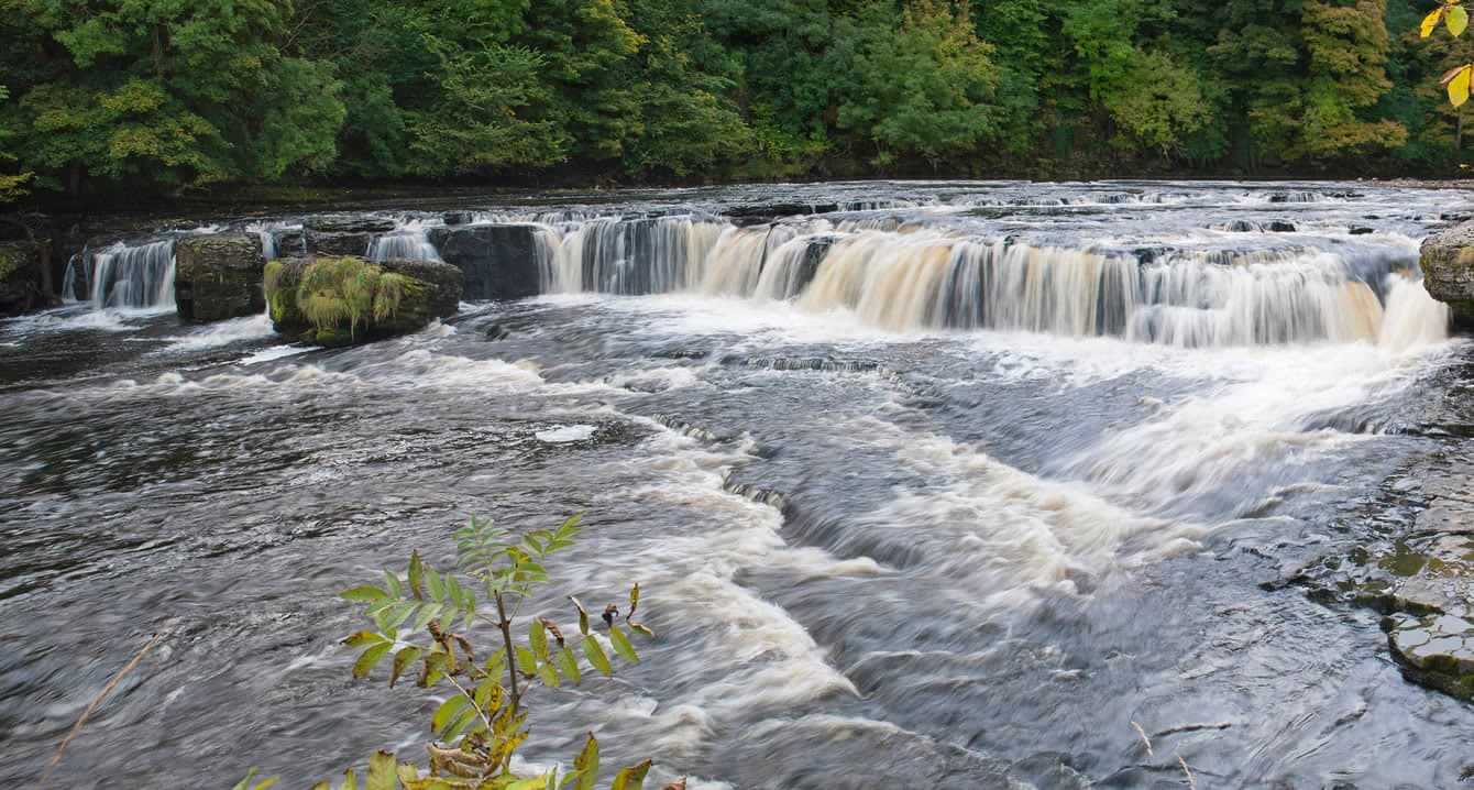 Aysgarth Falls Walk
