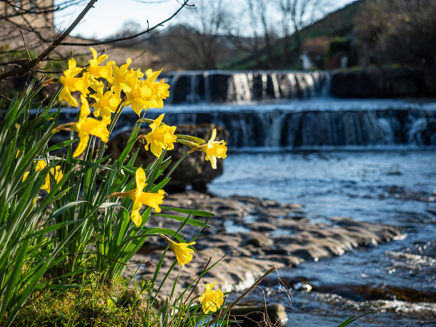 Weekly Newsletter - Friday 3rd March 2023