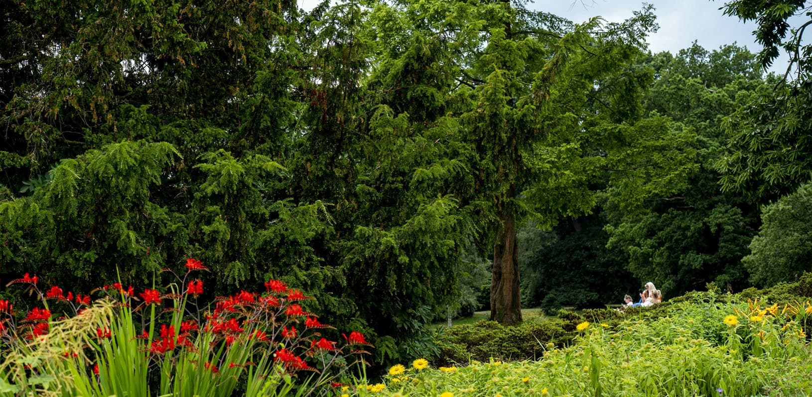 Walk: Cannon Hall Country Park