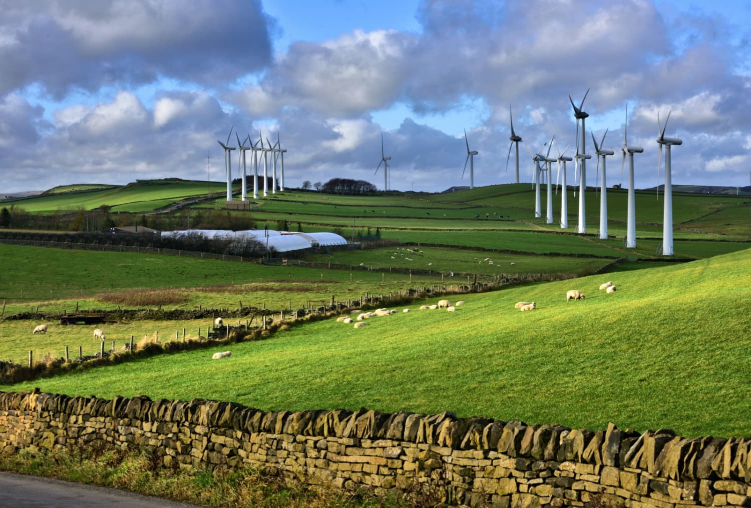 Walk: Scout Dike, Royd Moor and Ingbirchworth Reservoirs