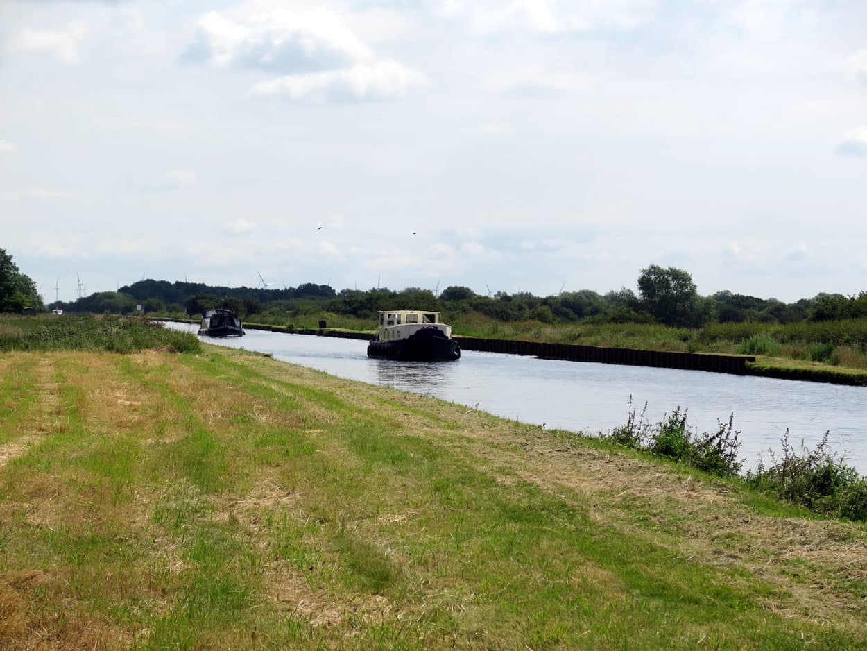 Walk: Pollington Canal, Cowick Gorse and Dorr Lane