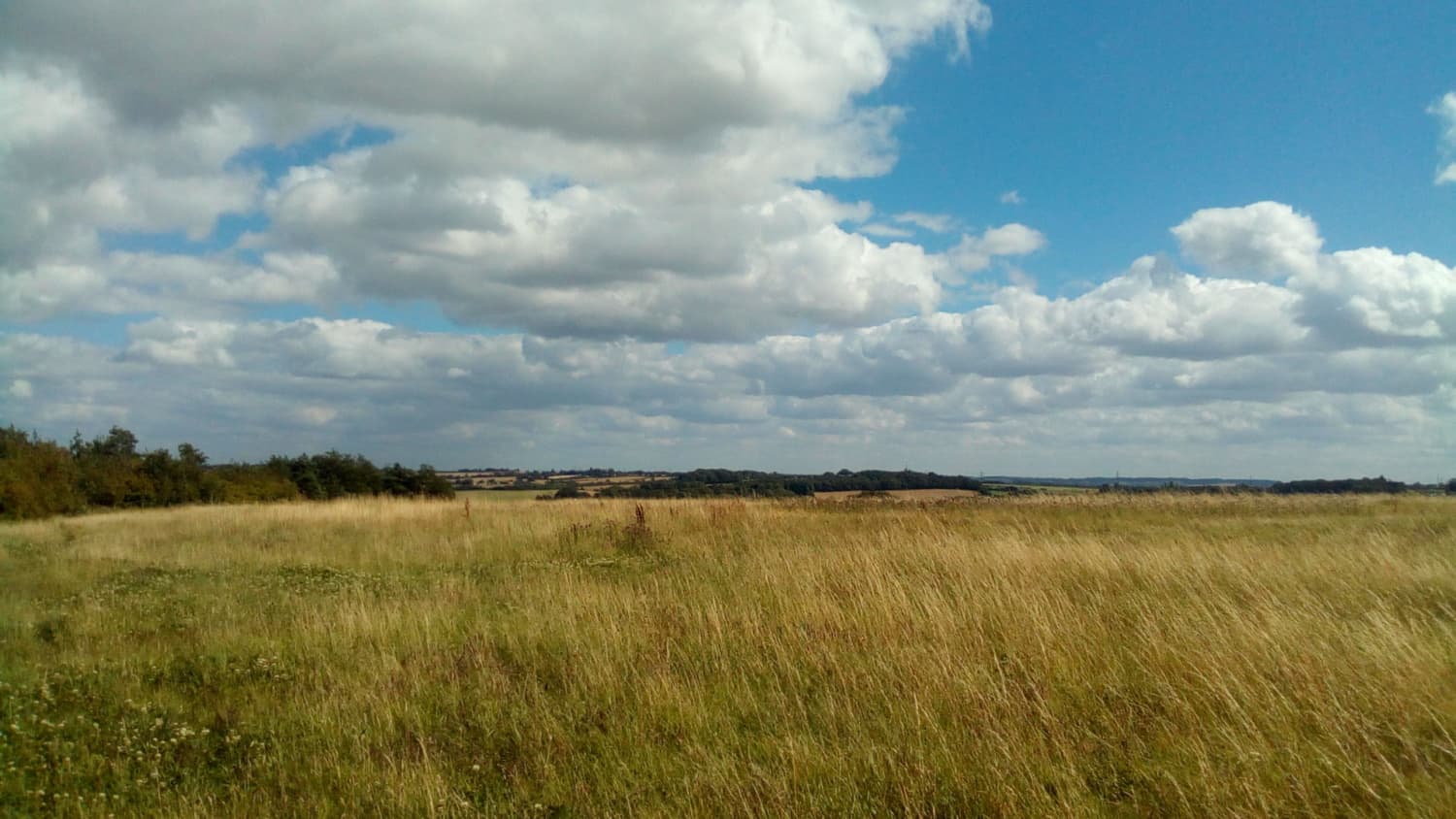 Walk: Fitzwilliam Country Park Walk