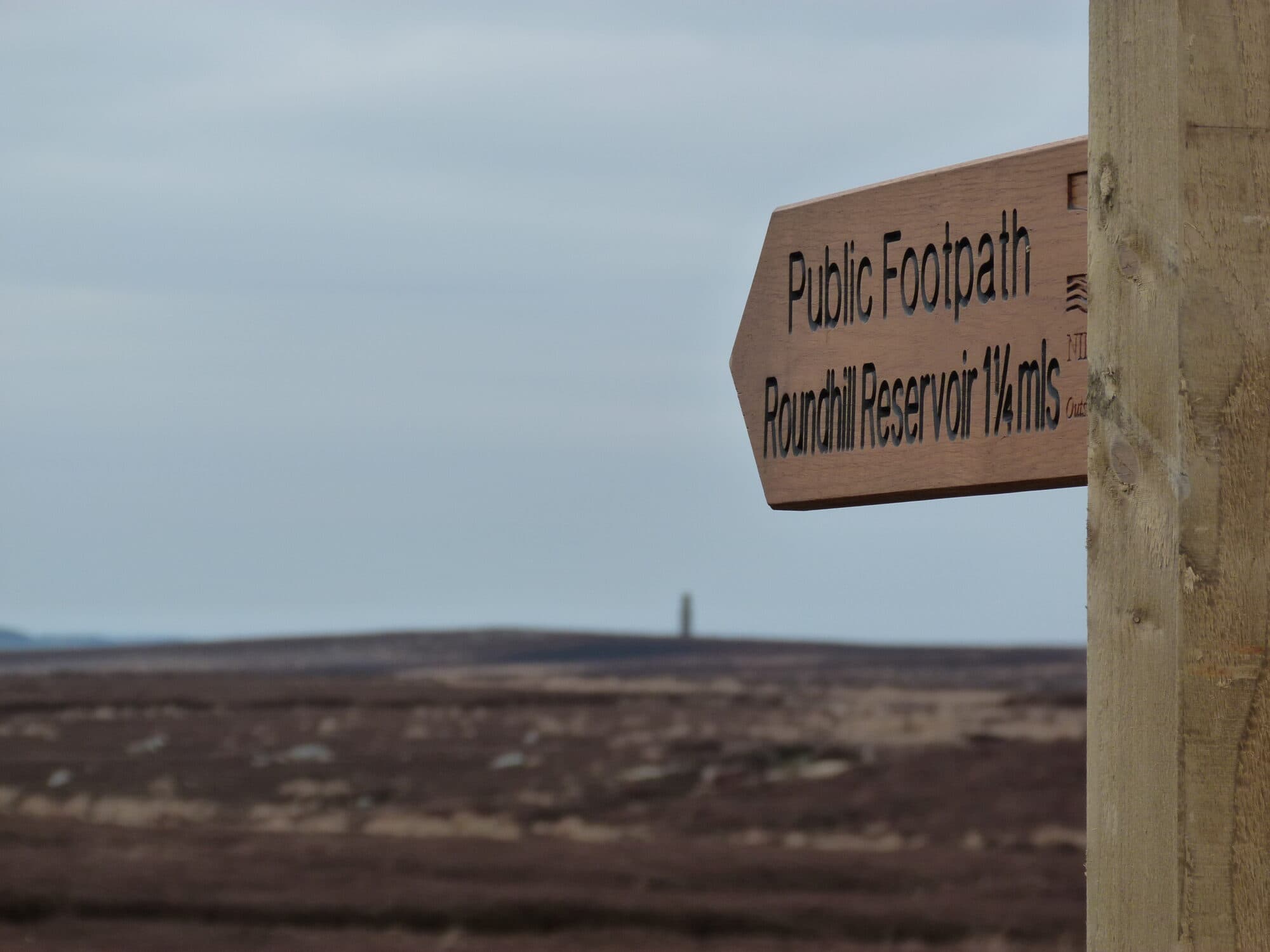 Walk: High Moors over Masham