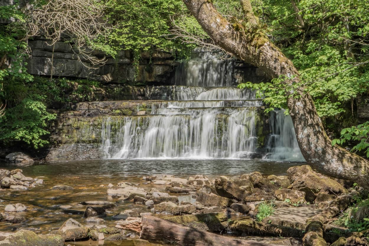 Walk: Cotter Force