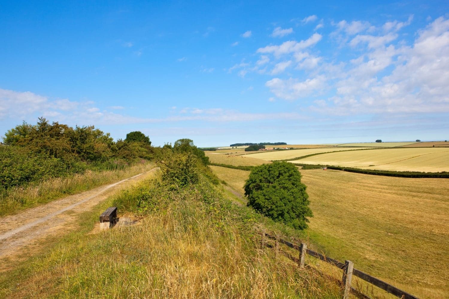 Walk: The Hudson Way