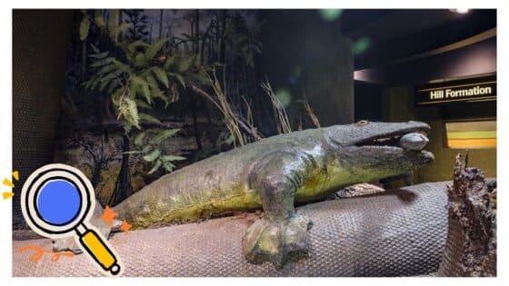 things to do in Bradford this summer