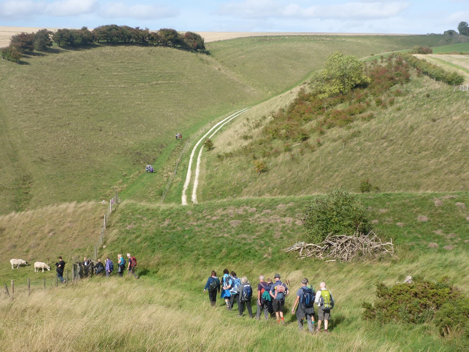 East Yorkshire walking festival