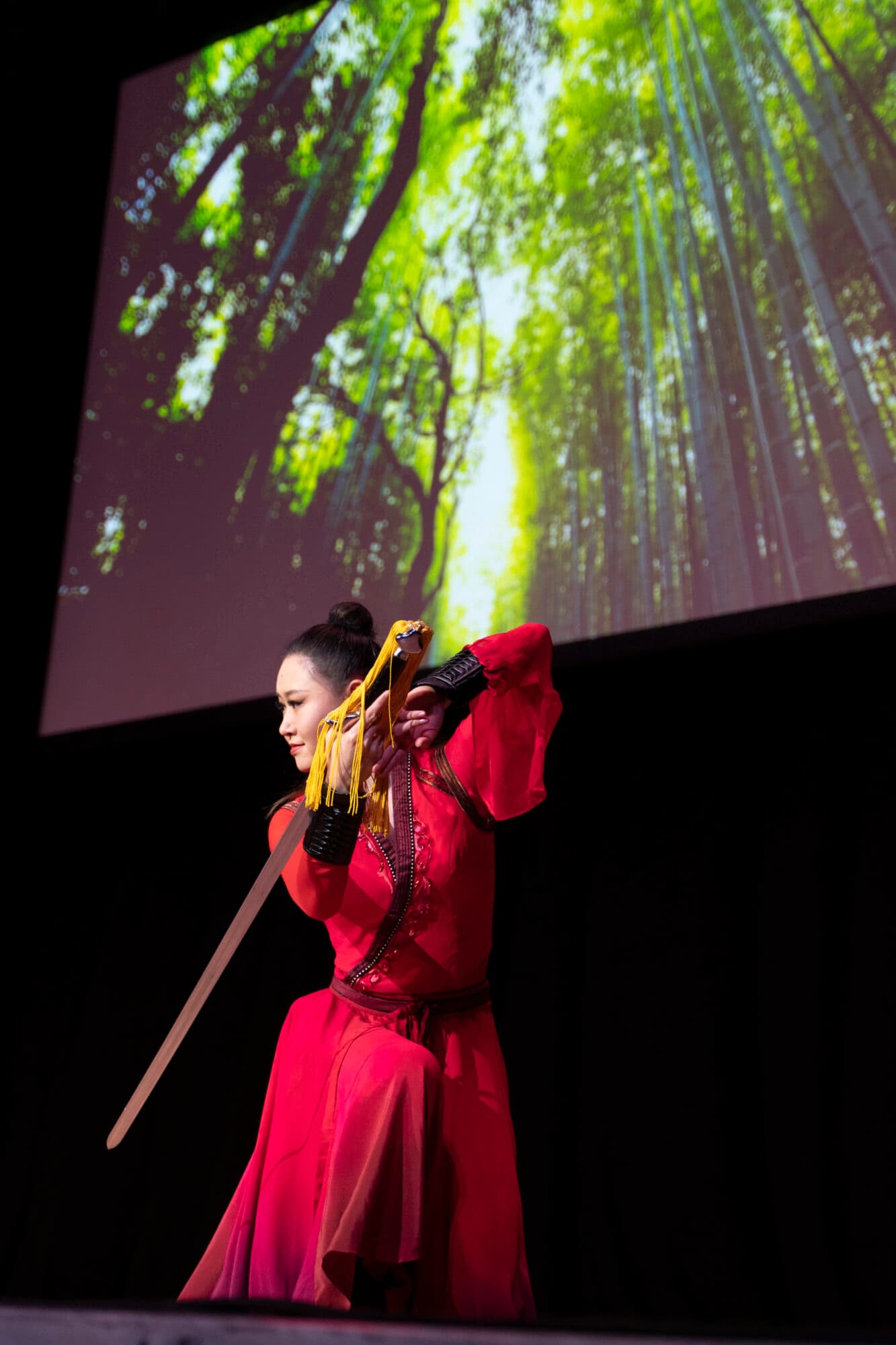 Chinese Lunar New Year 2025