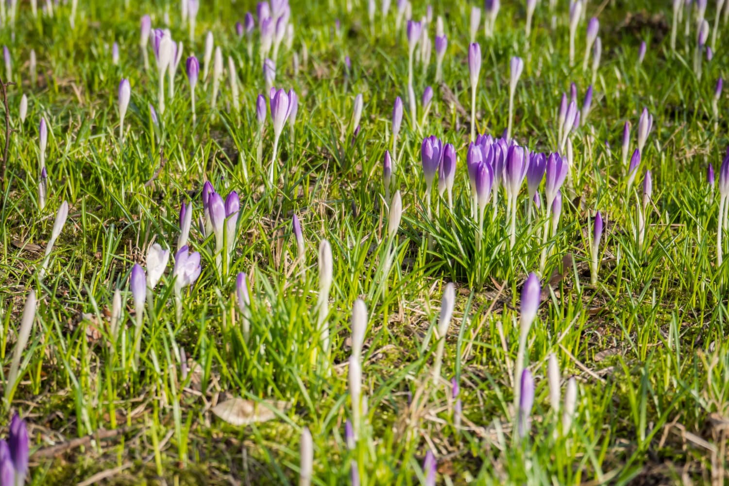 Newsletter: Saturday 22nd February 2025