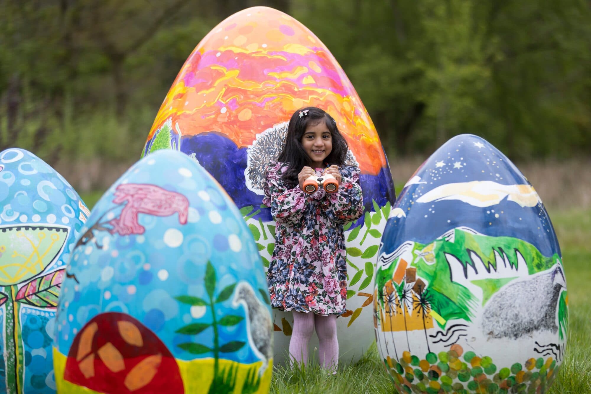 RHS Bridgewater Giant Eggs