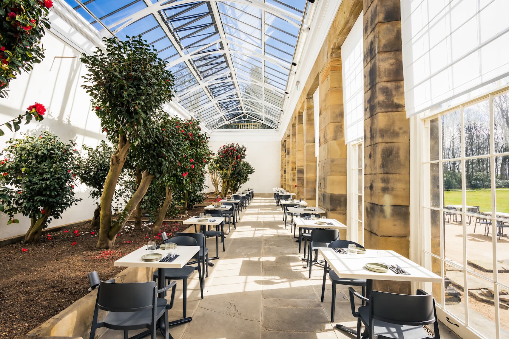 A Blooming Triumph: Wentworth Woodhouseβs Camellia House Wins Prestigious European Heritage Award