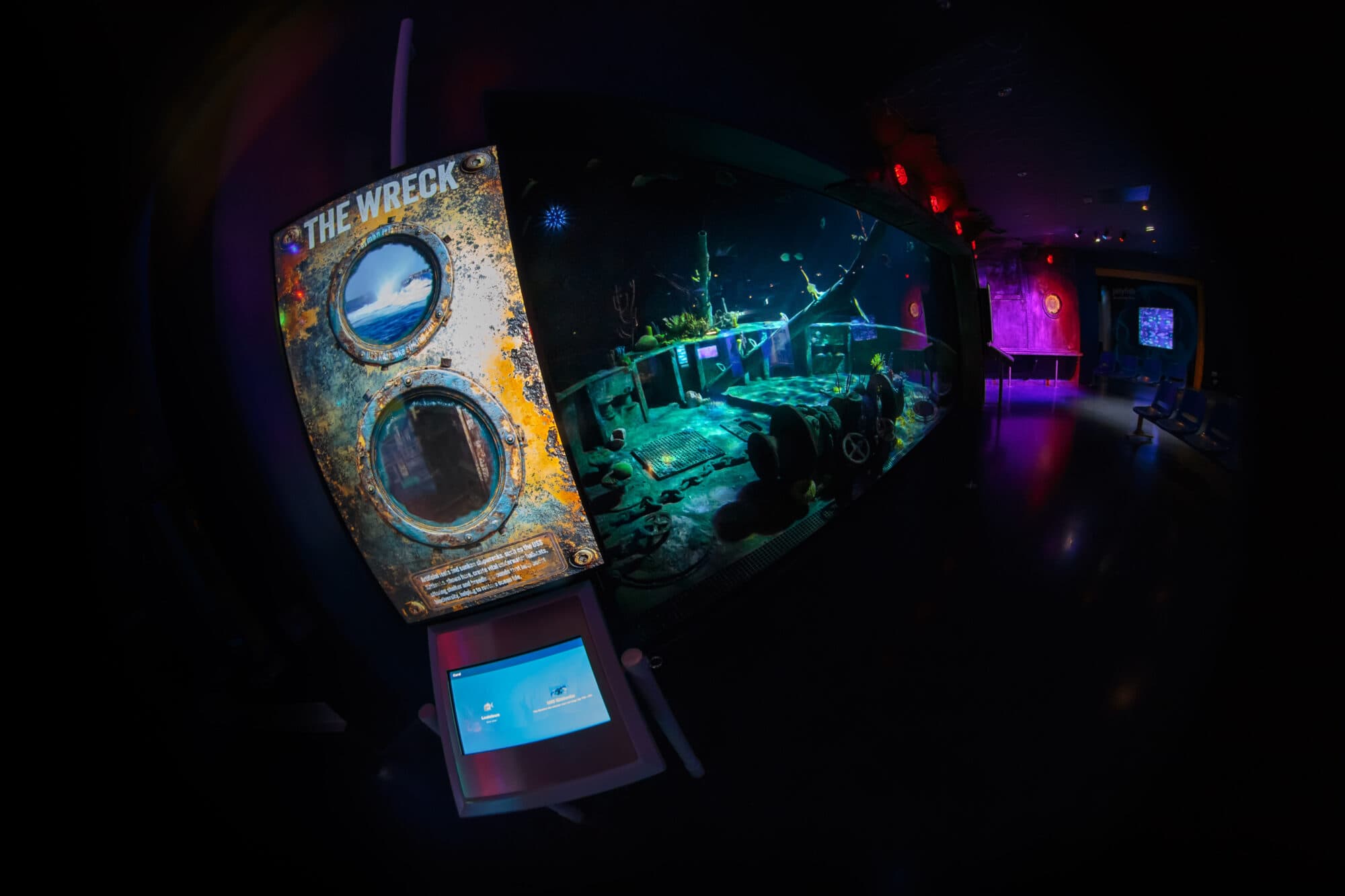 What Is The Wreck New Habitat at The Deep in Hull This Summer?