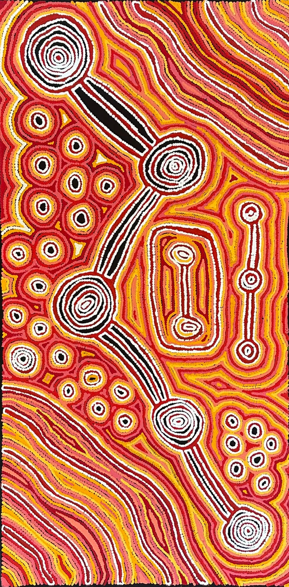 What Is The Warlpiri Revisions Exhibition At Whitby Museum And Pannett Art Gallery?