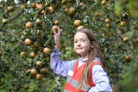 Yorkshire apple day
