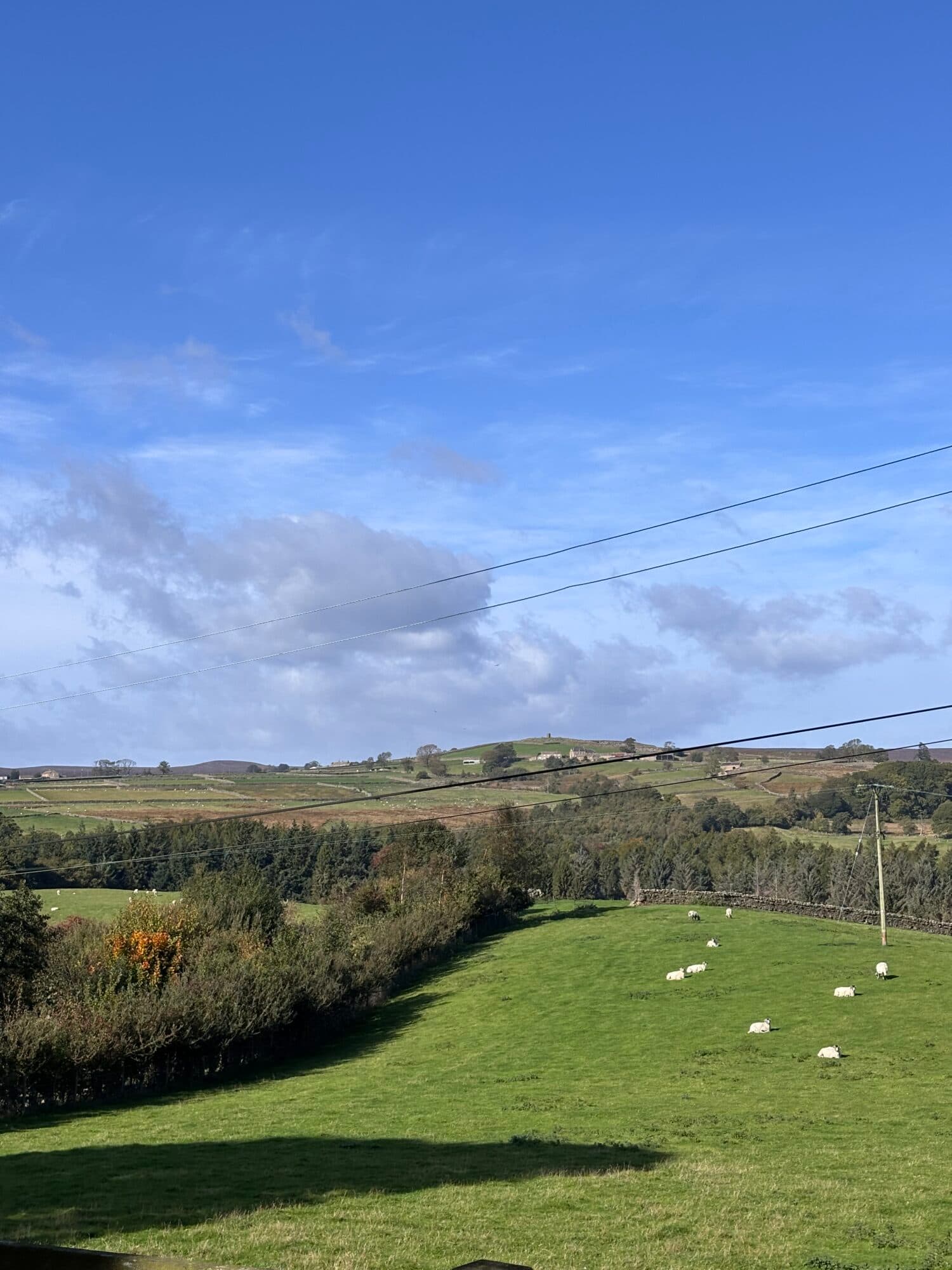 A look at the history of Greygarth Monument, Dallowgill, with Dr Emma Wells