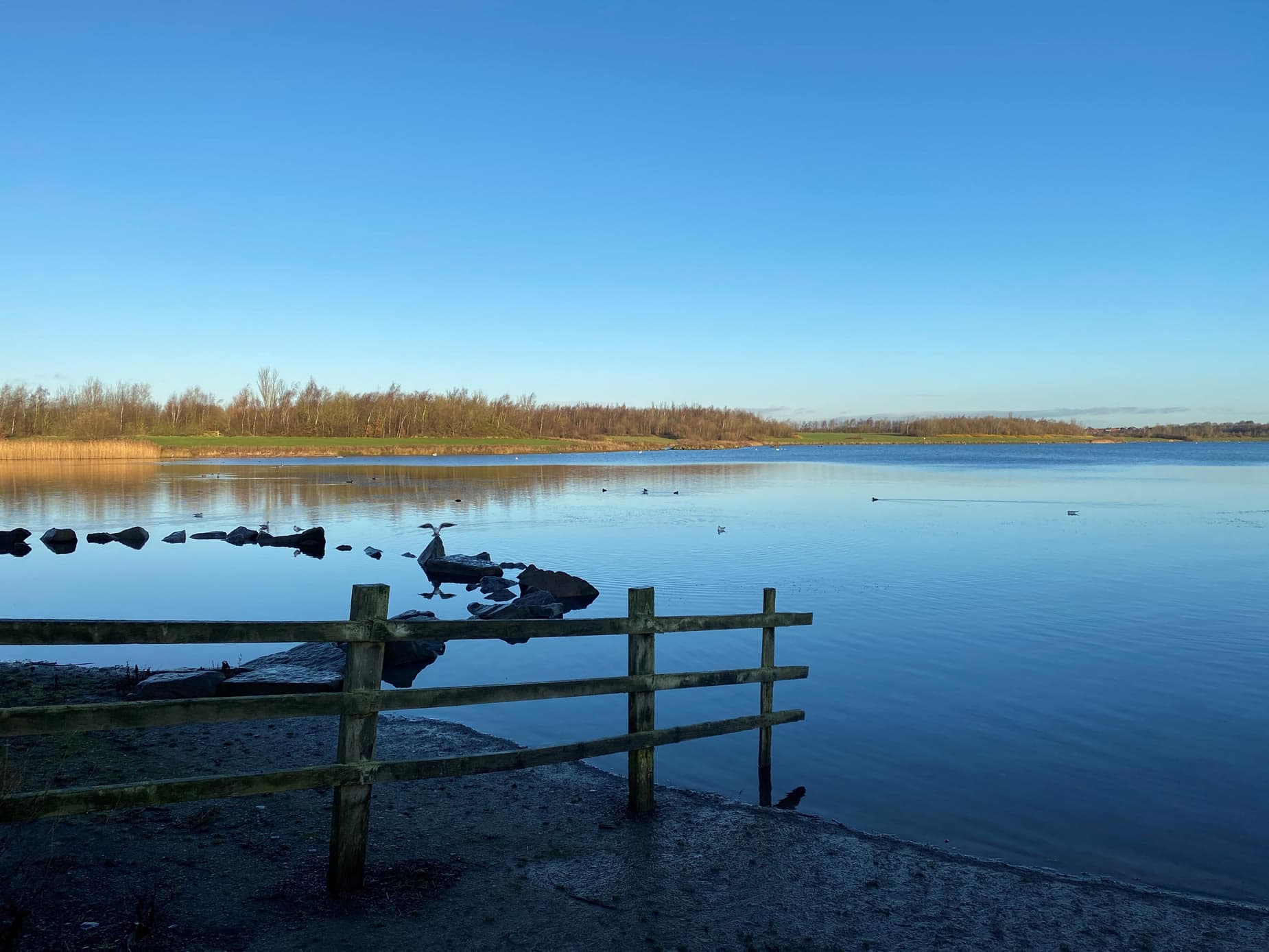 Visit Anglers Country Park - Visitor Information - Park in wakefield