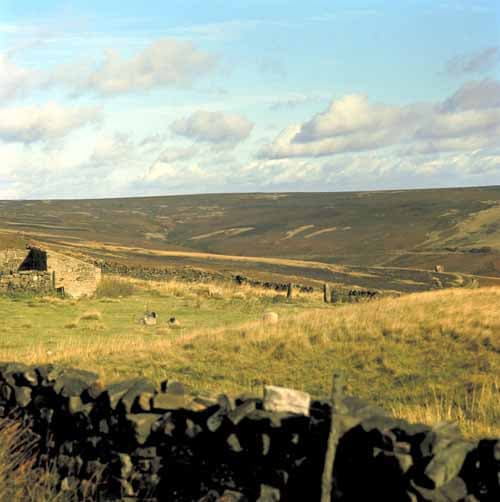 Danby Tourist Information Centre - Visitor Centres in danby