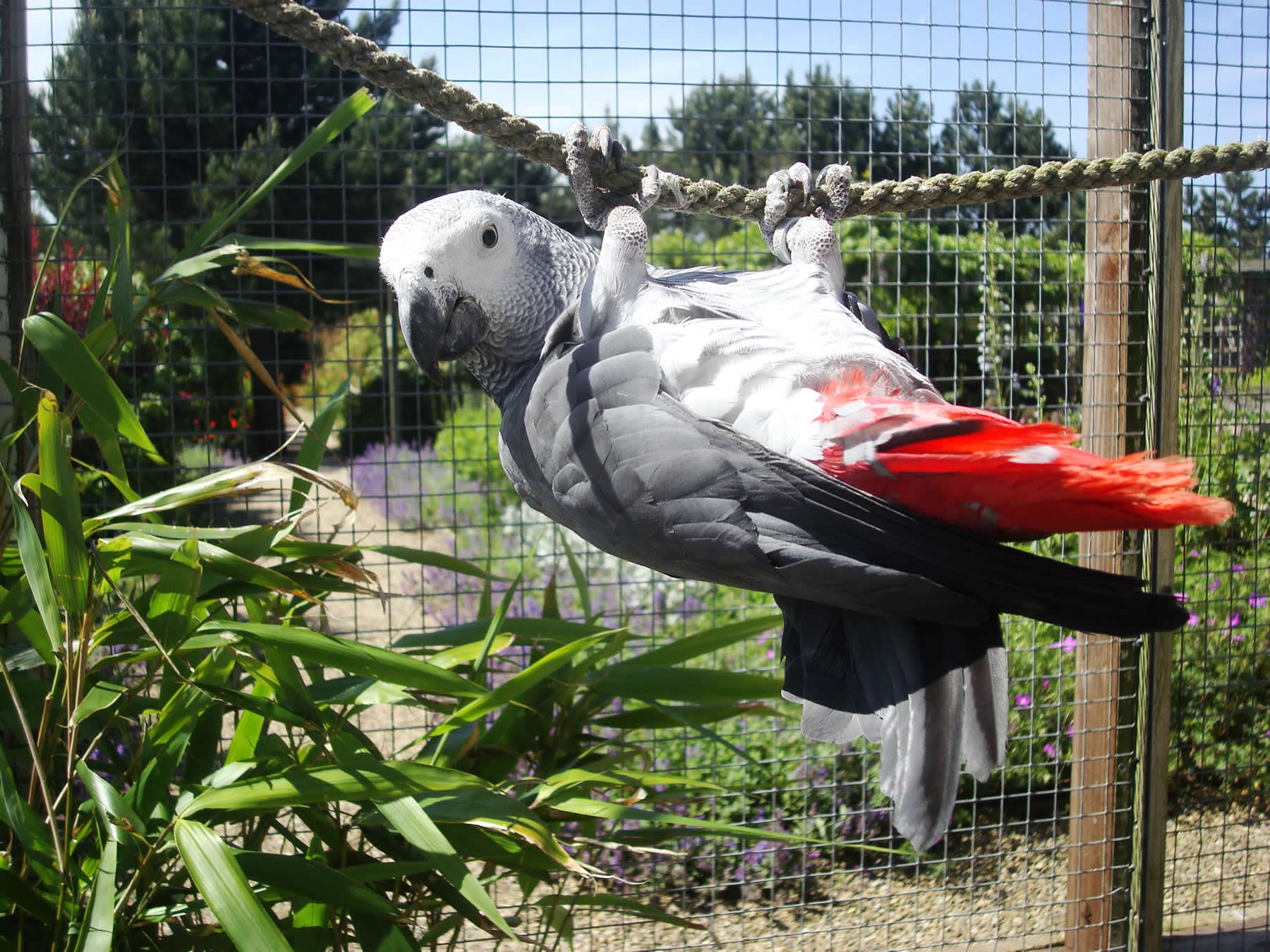 Visit Filey Bird Garden and Animal Park - Family Attraction in filey
