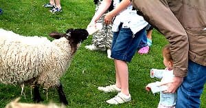 Monk Park Farm Visitor Centre - Family Attraction in thirsk