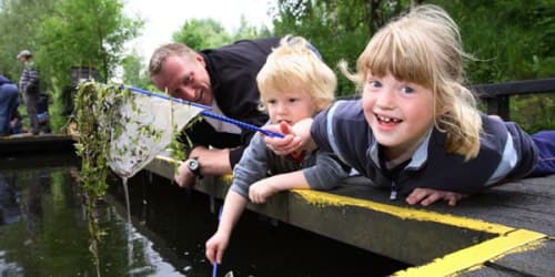 RSPB Fairburn Ings Nature Reserve - Park in ledston