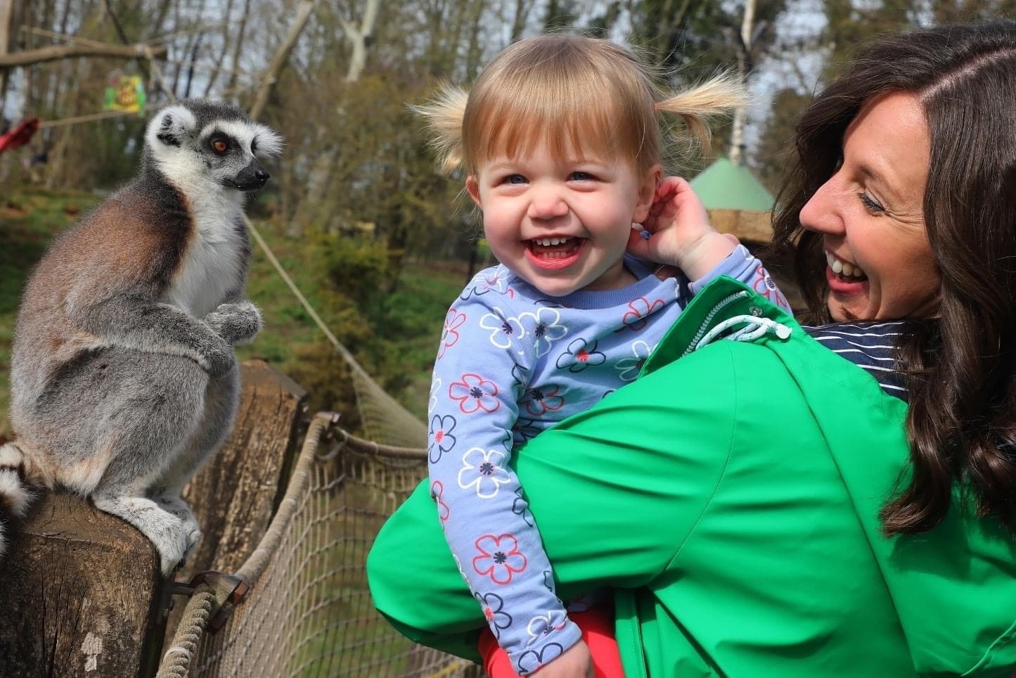 Tropical Butterfly House
