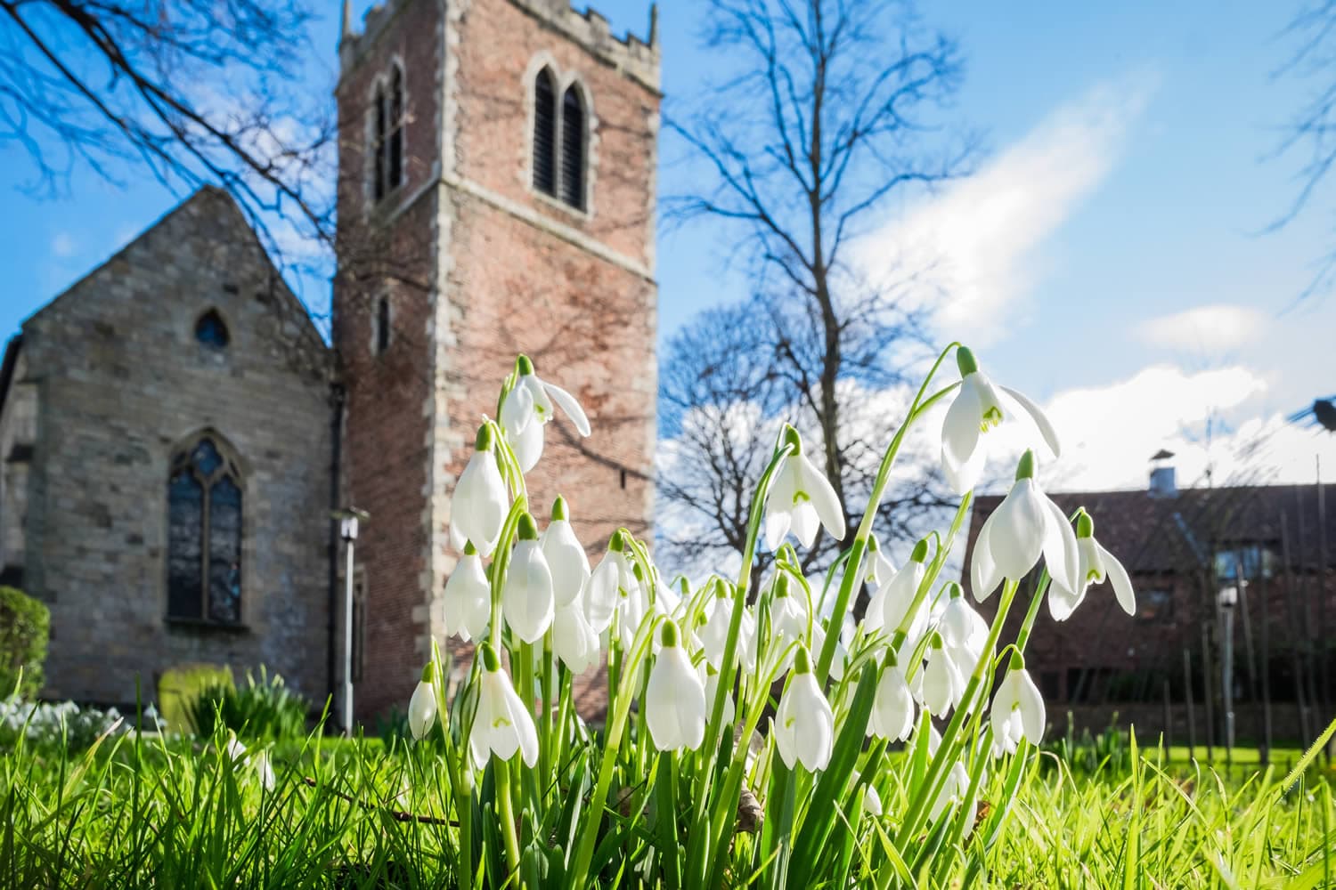 Event image for National Centre For Early Music