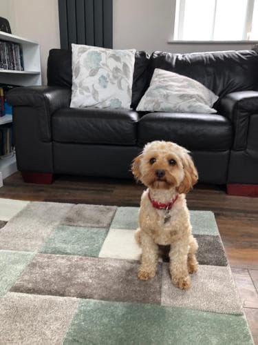 Accommodation at Plough Cottage in bradfield