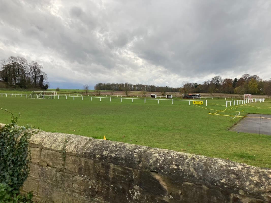 Green football pitch with white goalposts, surrounded by a stone wall and trees under a cloudy sky.