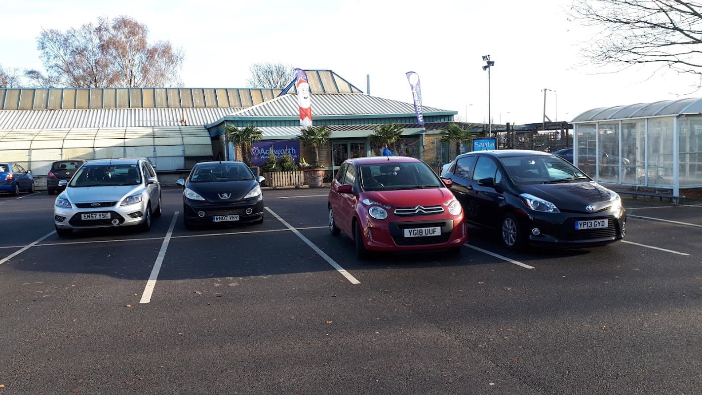 Four cars parked in a lot outside a building with palm trees and banners, under a clear blue sky.