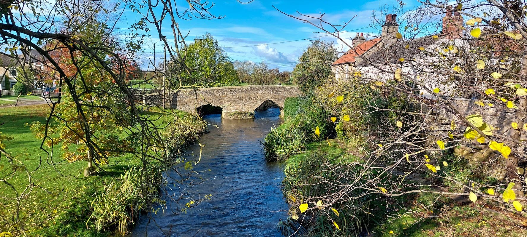 A stone bridge over a river, surrounded by greenery and autumn leaves, with a quaint building nearby.