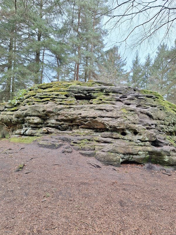 Adder Stone - Historic Site in allerston