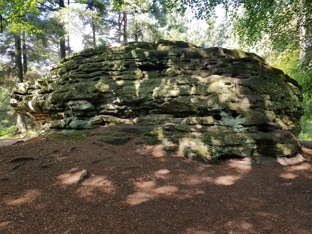 Large moss-covered rock formation surrounded by trees and dappled sunlight on a forest floor.