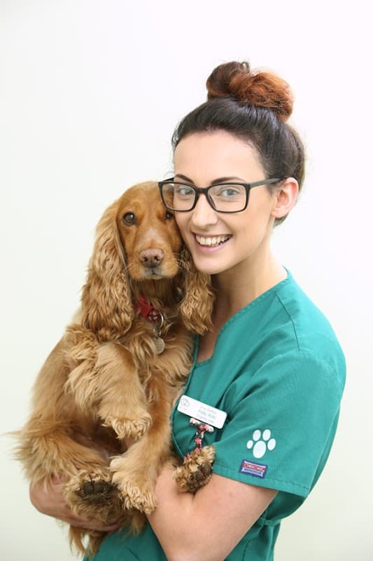 Veterinary staff in scrubs holding a golden cocker spaniel, smiling against a light background.