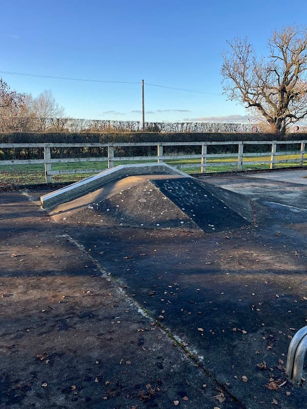 Skate park ramp with a clear blue sky, surrounded by trees and a fence, with fallen leaves on the ground.